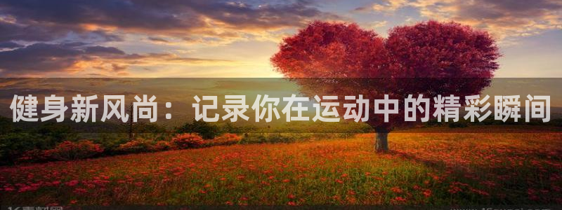 球速体育