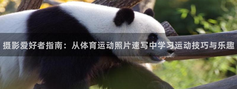 球速体育