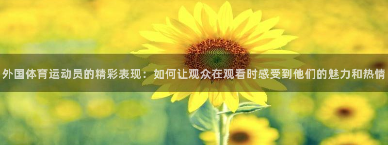 球速体育