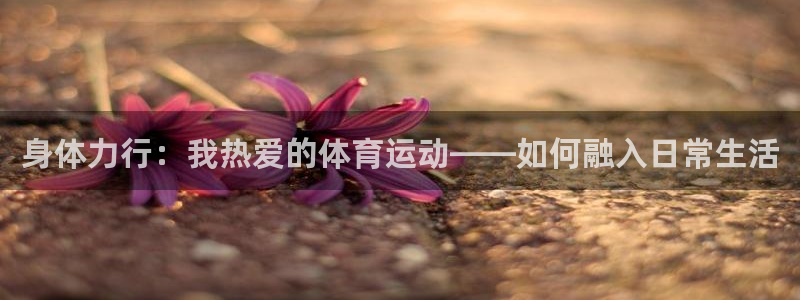 球速体育