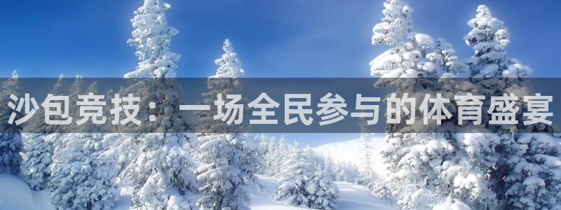 球速体育