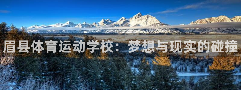 球速体育