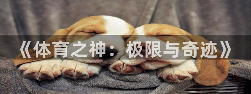 球速体育