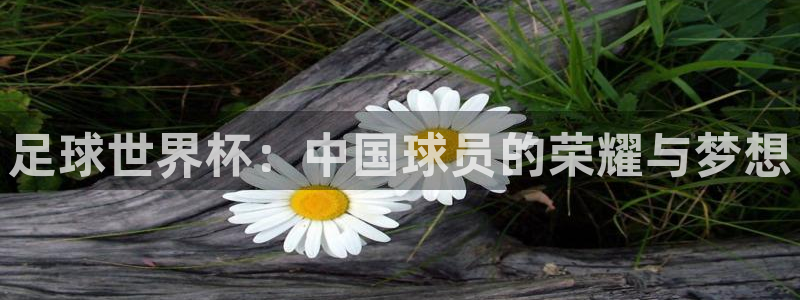 球速体育