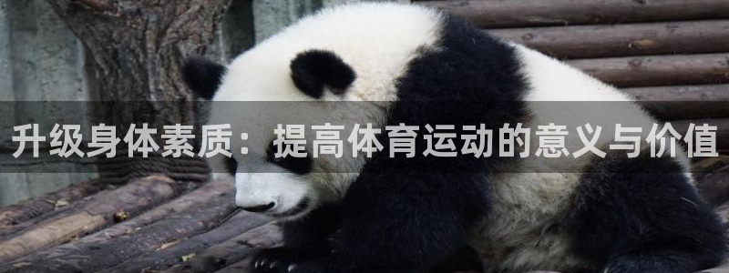 球速体育